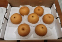 京鲜生 羊脂秋月梨 正宗莱阳 净重10斤15-20粒 单果250g+ 水果礼盒 实拍图