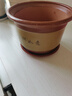 斗途园艺 紫砂花盆 红陶土梅花盆 兰花盆 盆景花盆  粗陶瓷花盆 带托盘 口径19cm 大 实拍图