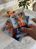 三只松鼠休闲零食小鱼磷虾香辣味100g高蛋白小吃即食独立小包装 实拍图