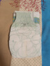 babycare山茶花婴儿纸尿裤试用装L码3片(9-14kg)花苞轻柔宝宝尿不湿透气 实拍图