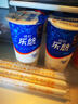 风行牛奶 乐悠原味酸牛奶 180g*6杯 生鲜轻食低温酸奶风味发酵乳 实拍图