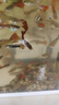 森森（SUNSUN）鱼缸水泵小型潜水泵水循环水族箱过滤泵抽水泵 【升级可底吸】15W流量可调 带水管 实拍图
