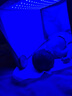 medgain京8仓24小时次日达测黄疸检测仪器租赁信用免押蓝光灯黄疸新生儿 医用光疗眼罩1个（耗材） 实拍图