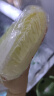 【超市品质】新鲜精品娃娃菜现砍现发小包装新鲜蔬菜生鲜产地直发 新鲜娃娃菜1*(3棵)*1包 实拍图