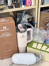 STANLEY巨无霸吸管杯水杯保温杯大容量不锈钢杯子车载办公887ML-晶粉色 实拍图