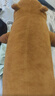 爱尚熊卡皮巴拉抱枕玩偶毛绒玩具超大号布娃娃女生陪睡觉生日毕业礼物女 实拍图