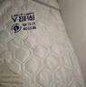 南极人（Nanjiren）记忆棉乳胶床垫学生宿舍床垫子0.9x1.9米榻榻米单人床垫软床褥子 立体-足球白GM【厚约10cm】 150x200cm【耐压回弹 久睡不塌】 实拍图