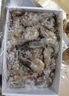 沃鲜汇 虾 厄瓜多尔白虾 大青虾 生鲜 虾类 海鲜水产 30/40规格 1.65kg(净重)  盐冻款【净重3.3斤 只只分离】 实拍图