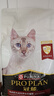 冠能猫粮 成猫猫粮鸡肉味10kg 全价猫粮 稳固免疫 适口性强 实拍图