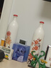 江小白 金盖 纯粮清香白酒 500ml 单瓶装 52度 固态法口粮酒  实拍图