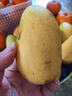 柏馋海南小台农芒果新鲜现摘小台芒应当季热带水果南方特产甜心熟芒果 9斤 净重8-8.5斤 小果单果50-70g 实拍图