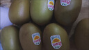 佳沛（zespri）绿奇异果经典果16粒礼盒单果约86-103g 水果 猕猴桃 实拍图
