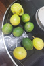 京鲜生广西黄金百香果5粒+塔希提柠檬5粒单果70g+生鲜水果 源头直发 实拍图