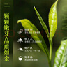 正山堂红茶 源起正山 骏眉红茶特级3g 金骏眉工艺 茶叶品鉴试饮装 实拍图