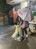 牧萌儿童雨衣男童女童防水全身雨披幼儿园小学生雨具 黄色小恐龙 S 实拍图