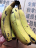 海南甜香蕉 现摘现发 到货3-5天可食用新鲜水果 海南超甜香蕉 1斤带箱 香甜 实拍图