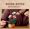 乐高（LEGO）积木拼装10343 典雅兰男孩女孩玩具生日礼物 实拍图