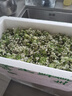 教蔬鲜生【顺丰直达】韭菜花新鲜现摘山东头茬嫩半仔韭花酱蘸料花朵苞 1000g 实拍图