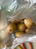 佳沛（zespri）新西兰 新果季 阳光金奇异果33粒原箱单果重约101-114g 猕猴桃 实拍图