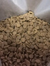 Orijen渴望猫粮 成猫幼猫干粮 全价通用无谷原味鸡肉进口5.4kg效期25/12 实拍图