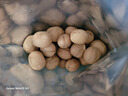 楼兰蜜语 薄皮大核桃500g/袋*2 新疆纸皮核桃仁  新二核桃 零食 坚果炒货  实拍图