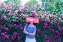 佳能（Canon）EOS600D750D700D760D800D850d学生入门拍照摄像二手单反相机 600D+18-55 is【套机】 准新 实拍图