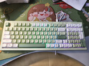 惠普（HP）K300真机械手感键盘 轻音高颜值 98客制化配列 插拔有线游戏笔记本电脑 绿色绿心三拼键帽 实拍图