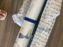 babycare婴儿抑菌凉席宝宝透气冰丝席儿童幼儿园可水洗鲸鱼喷泉56*100CM 实拍图