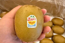 佳沛（zespri）新西兰  阳光金奇异果25-27粒原箱特大果单果约122-146g  猕猴桃 实拍图