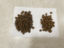 愛肯拿（ACANA）猫粮 海洋盛宴成猫幼猫粮 全价无谷原装进口鱼肉粮1.8kg效期26/4 实拍图