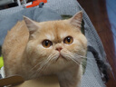 奥林巴斯（OLYMPUS）E-M10 MarkIV EM10四代 微单相机 数码相机 微单套机（14-42mm F3.5-5.6）2030万像素 黑 实拍图
