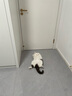 皇家皇家室内成猫粮 I27 通用粮 12月以上 10KG 实拍图