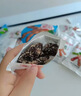 滇品客野酸角云南特产罗望子冰糖酸角果铺蜜饯小包装甜酸角孕妇零食散装 云南野酸角500gx1袋（约22包） 实拍图