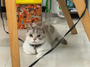 皇家搭档猫条猫零食三种口味混合装猫条成猫幼猫猫条156g（13g*12支）一袋 实拍图
