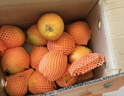 【热销】湖北秭归脐橙鲜果上市 带箱9斤65-70mm 实拍图