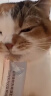 lorde里兜猫零食全价主食猫条成猫幼猫猫湿粮罐头海王猫条混合口味18支 实拍图
