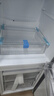 统帅（Leader）海尔智家出品 180升小冰箱双开门两门冰箱小冰箱迷你家用租房冰箱低噪音冰箱家用电冰箱小型冰箱 BCD-180LLC2E0C9 实拍图