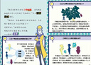 【17辑新上市】官方正版大侦探福尔摩斯探案集小学生版全66册经典侦探故事书彩图漫画7-12岁儿童三四五六年级课外阅读书籍悬疑推理小说 【NEW新书】第十七辑（63-66册）：全4册 实拍图