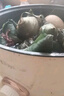荣事达（Royalstar）火锅专用锅电煮锅电火锅电热锅蒸煮一体电蒸锅 宿舍小火锅多功能小电锅 家用煎涮一体不粘锅 2.5L 【配不锈钢蒸笼】(1-2人) 实拍图