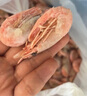 美加佳头籽熟冻北极甜虾净重3斤 90/120规格 头籽率95% 熟冻甜虾 实拍图