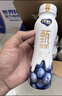 蒙牛纯甄甄酸奶寒地蓝莓风味酸奶PET瓶230g×10瓶 实拍图