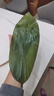 优优马情田野生新鲜大号粽子叶农家箬竹叶端午节包粽子50片300g±10g左右 实拍图