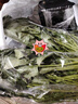 去根金针菇250g 实拍图