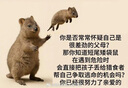 皇家皇家绝育成猫粮 SA37通用粮 1-7岁2KG  实拍图