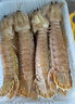 京鲜港  避风塘风味大号皮皮虾500g 虾爬子速冻鲜嫩饱满 实拍图