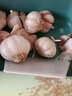 紫皮大蒜2025新干大蒜头年当季整箱新鲜蔬菜头批发红皮 净重4.5斤(果径3.5cm+) 实拍图