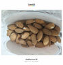 新边界 原味巴旦木仁400g 每日坚果炒货休闲零食干果扁桃仁大杏仁 实拍图