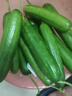 京喜加新鲜无刺水果小黄瓜小青瓜脆甜荷兰脆嫩生吃黄瓜蔬菜 水果黄瓜 3斤 带箱 实拍图