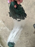单层鱼网沉网捕鱼网浮网白条网丝网拉网鲫鱼网挂子鱼网白丝鲢鱼网 1米高1指50米长单层【浮网】 实拍图