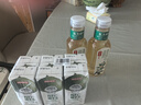 农夫山泉 东方树叶陈皮白茶500ml*2瓶 0糖0脂0卡无糖饮料茶饮料 实拍图